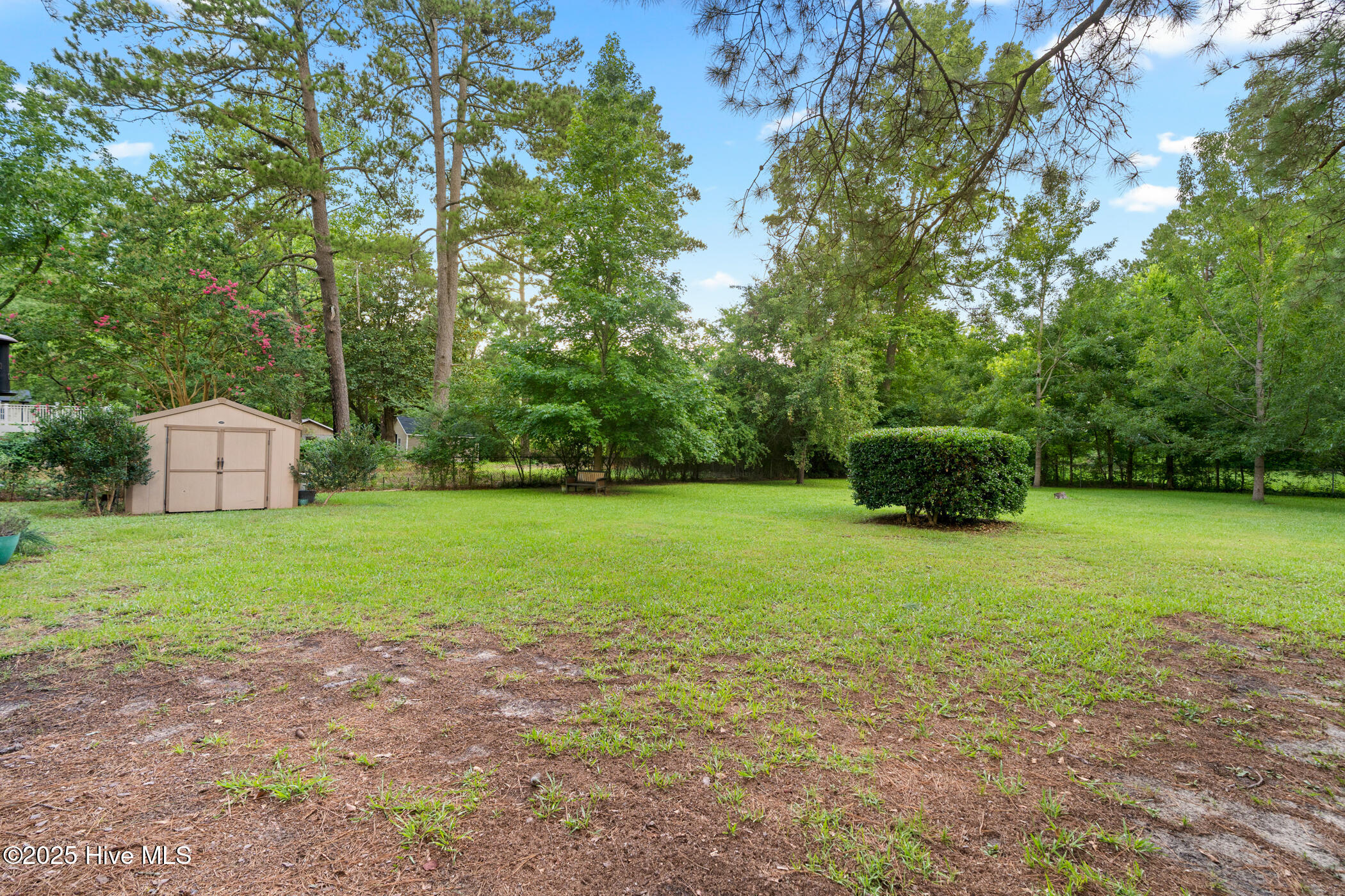 120 Parker Street Rockingham, NC 28379 - Photo 27 of 32 back yard