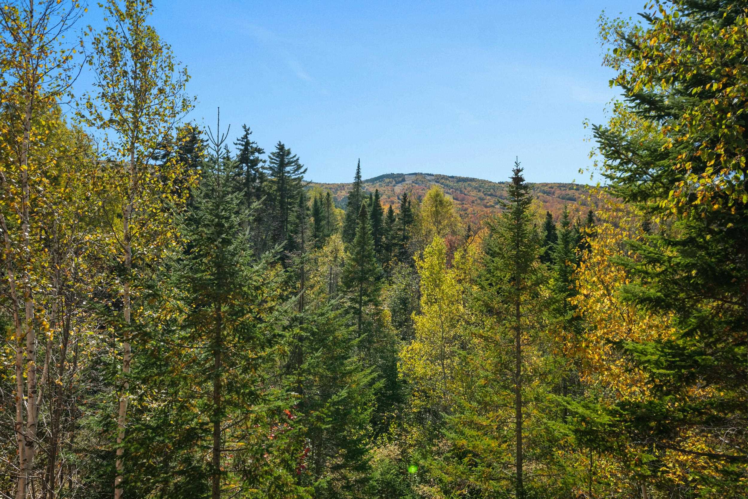 527 Hannah Loop, Unit 58 Carroll, NH 03595 - Photo 37 of 43