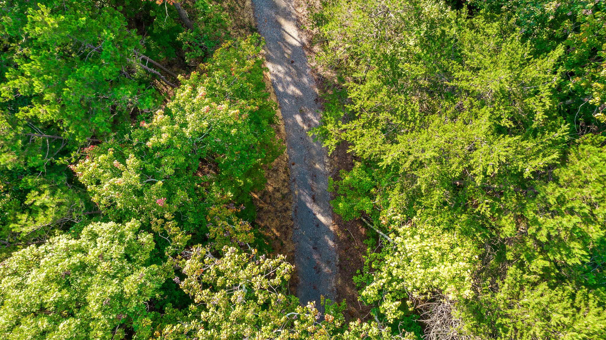 8903 Hixson Springs Road Signal Mountain, TN 37377 - Photo 35 of 43 Gallery Image 35