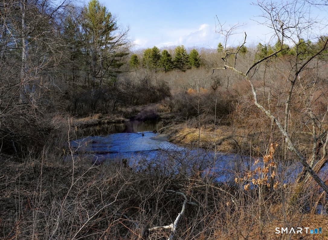512 Brook Road Scotland, CT 06247 - Photo 21 of 22 a view of a yard
