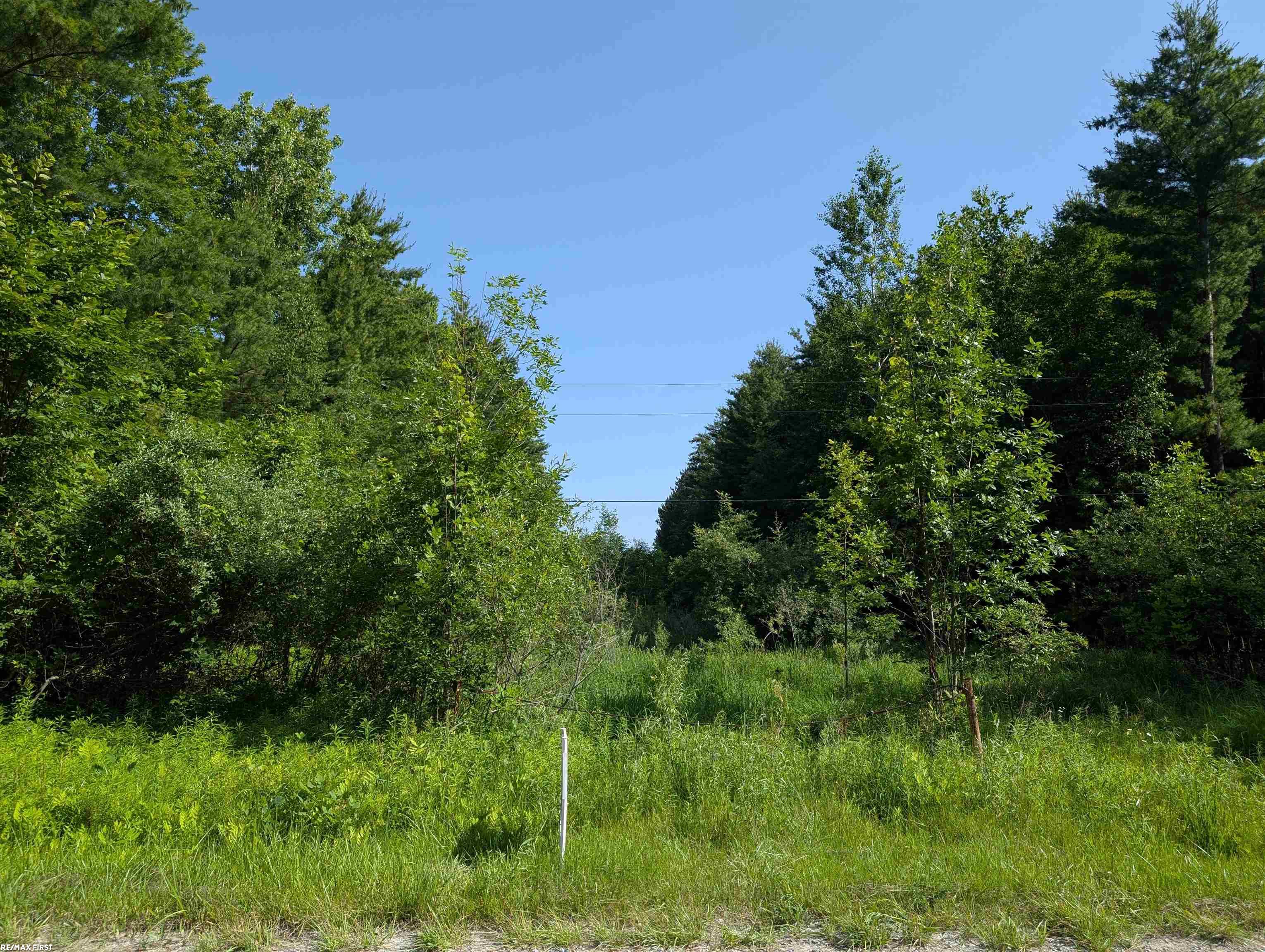 0 Burns Line Road Croswell, MI 48422 - Photo 3 of 5