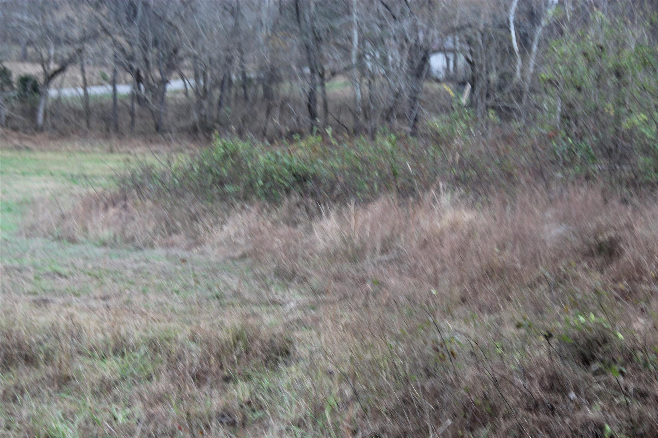 366 Rorie Hollow Road Indian Mound, TN 37079 - Photo 21 of 23 Gallery Image 21