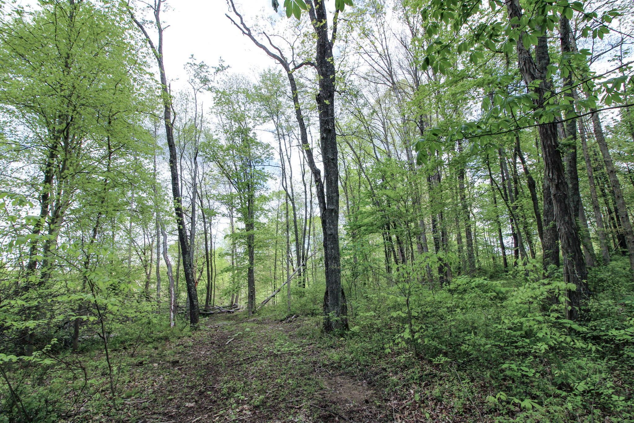 0 Dutch Ridge Road New Straitsville, OH 43766 - Photo 25 of 28 24