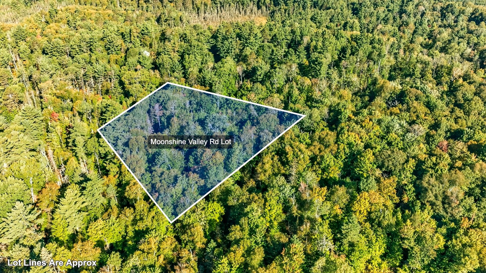 Lot On Moonshine Valley Road Presque Isle, WI 54557 - Photo 8 of 17 Gallery Image 8