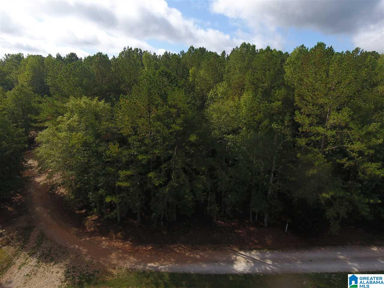 Mill Street Wedowee, AL 36278 - Photo 2 of 4