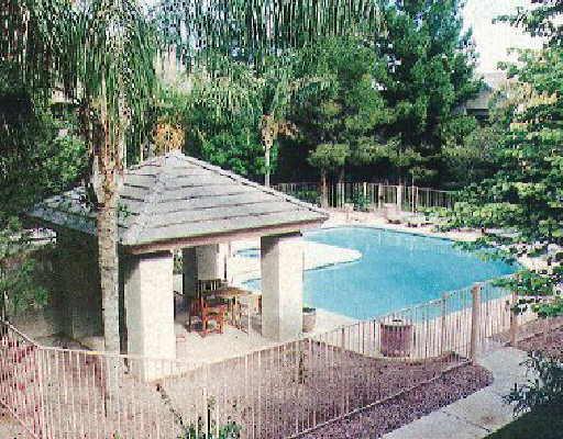 5950 North 78th Street, Unit 239 Scottsdale, AZ 85250 - Photo 5 of 5 Additional Photo