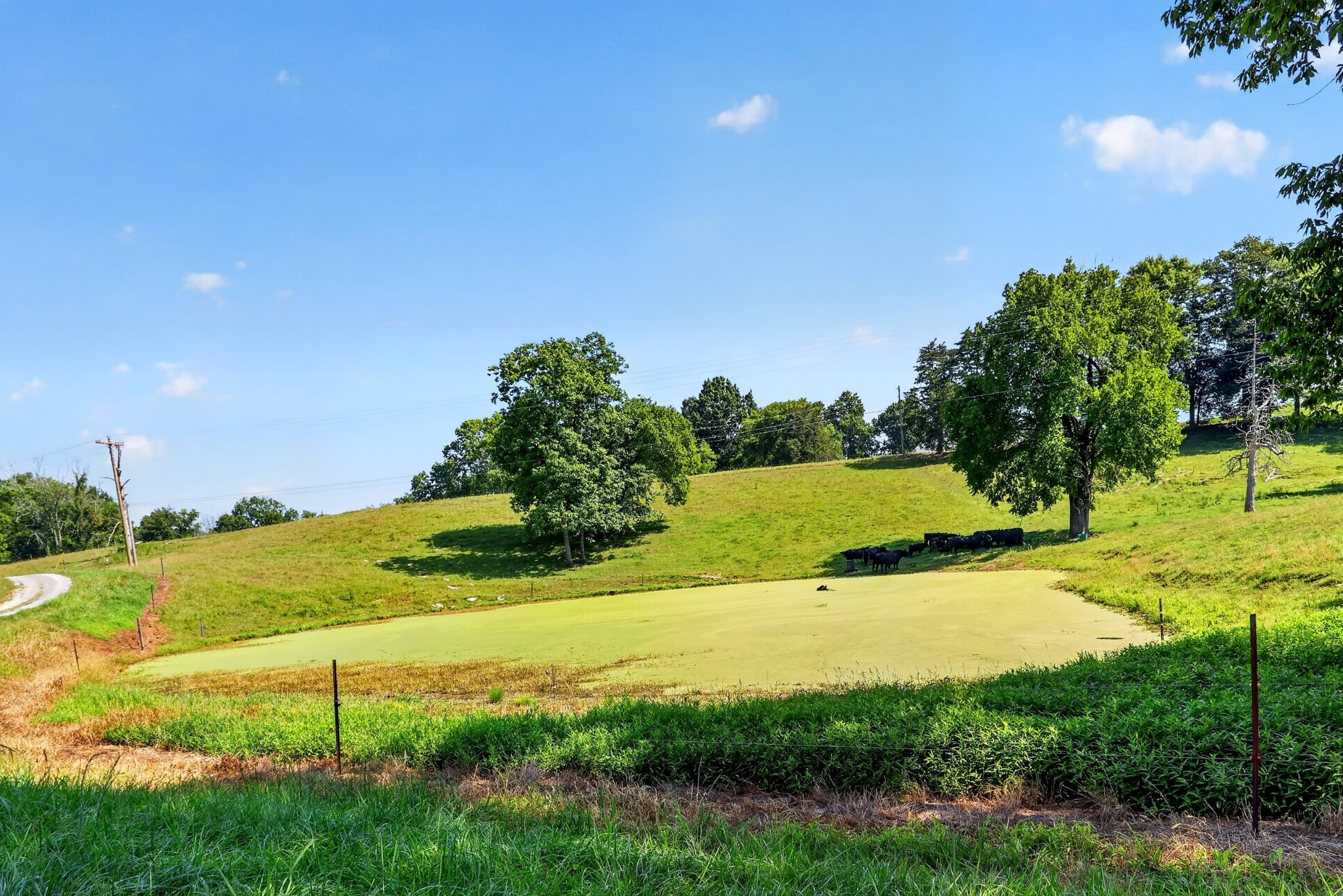 5713 Smith Fork Road Liberty, TN 37095 - Photo 73 of 74