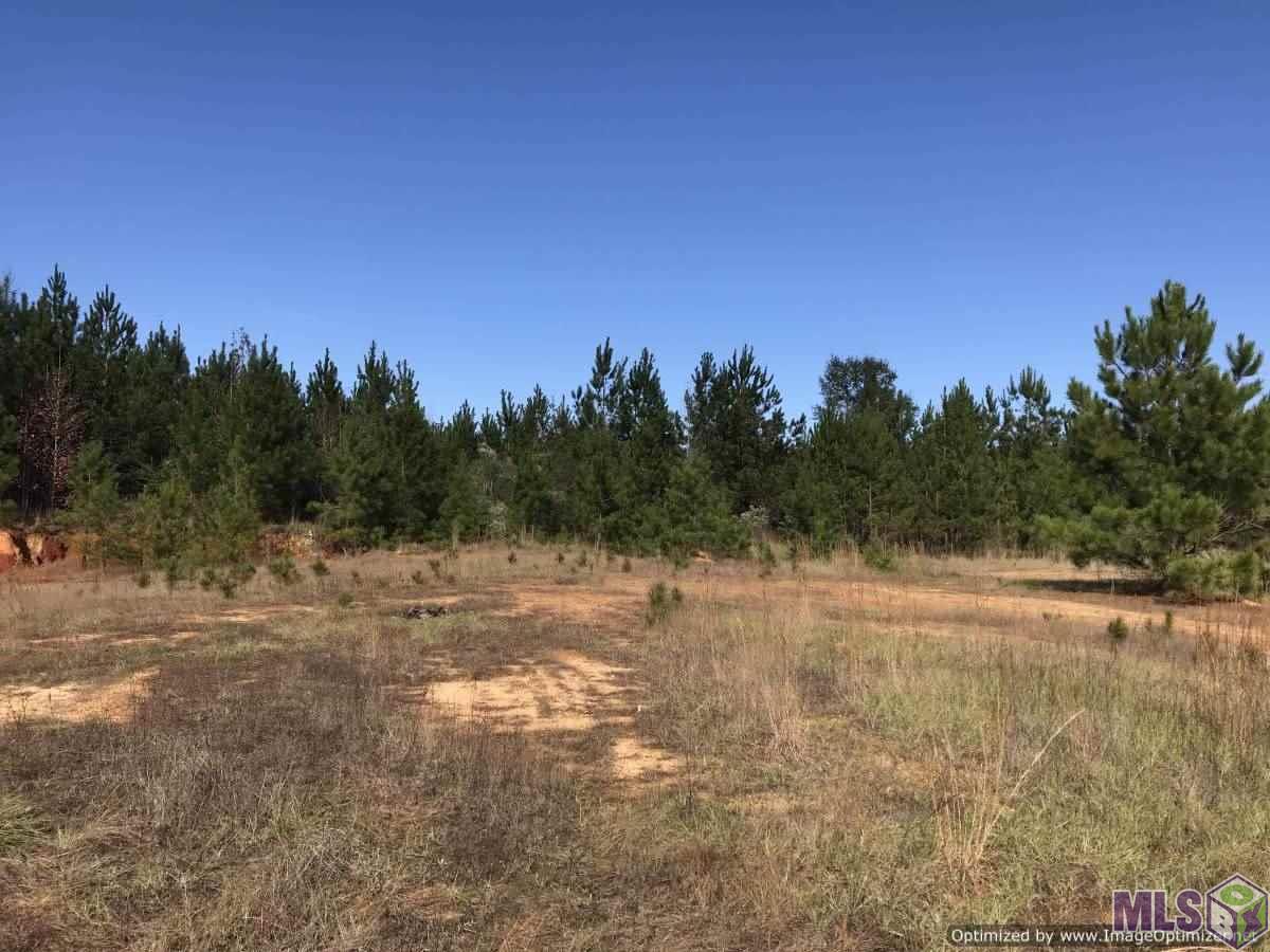 10051 Sylvarena Road Wesson, MS 39191 - Photo 11 of 12