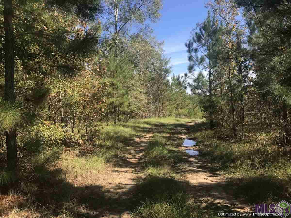 10051 Sylvarena Road Wesson, MS 39191 - Photo 7 of 12