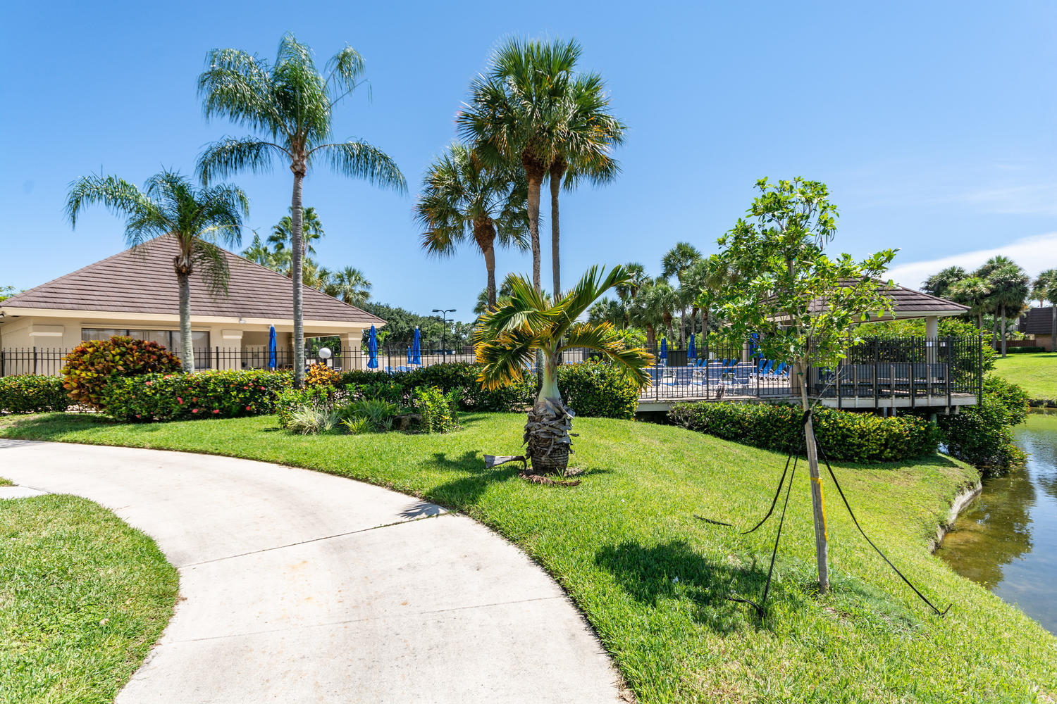 1719 17th Court Jupiter, FL 33477 - Photo 27 of 36 Pool & Cabana