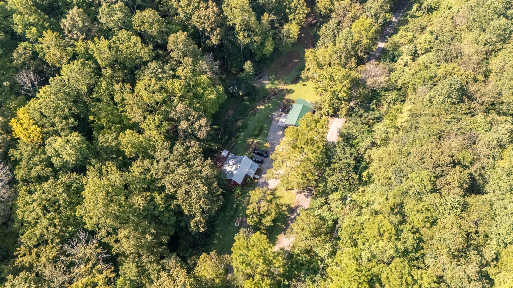 1491 Cates Road Lawrenceburg, TN 38464 - Photo 54 of 57 a view of a tree