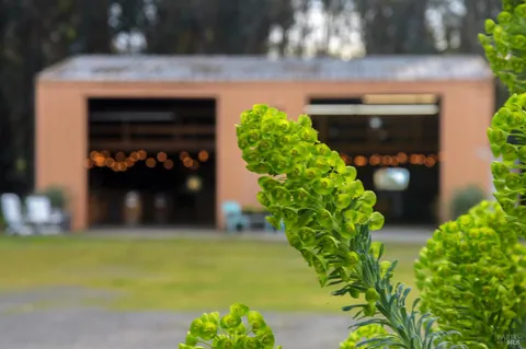 $1,175,000 | 2103 Bodega Avenue, Petaluma, CA 94952