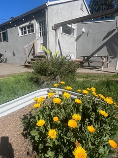 a front view of a house with garden