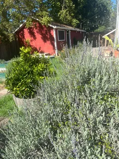 $1,125,000 | 2103 Bodega Avenue, Petaluma, CA 94952