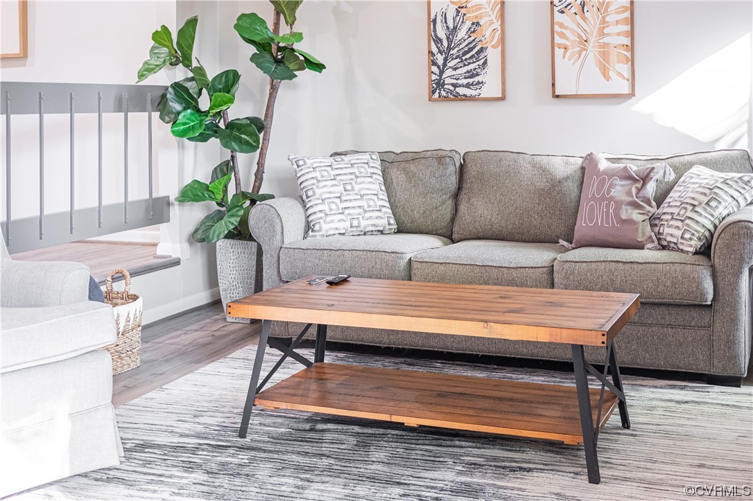 11601 East Briar Patch Drive Midlothian, VA 23113 - Photo 24 of 50 a living room with furniture and a potted plant