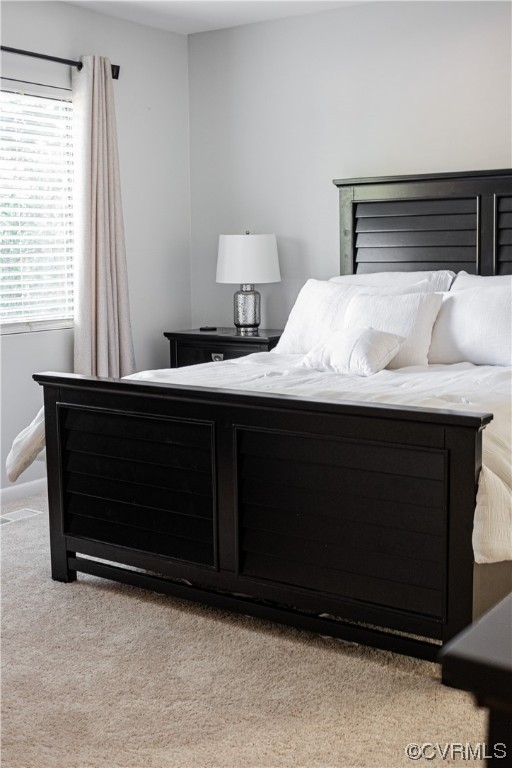 11601 East Briar Patch Drive Midlothian, VA 23113 - Photo 31 of 50 a room with a bed and a window