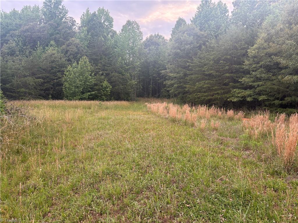 690 Goose Pond Road Ruffin, NC 27326 - Photo 6 of 17