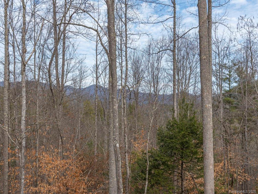 635 Rustic Heights Road Waynesville, NC 28785 - Photo 3 of 27