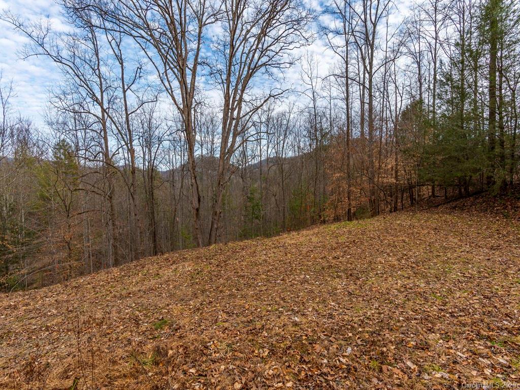 635 Rustic Heights Road Waynesville, NC 28785 - Photo 27 of 27