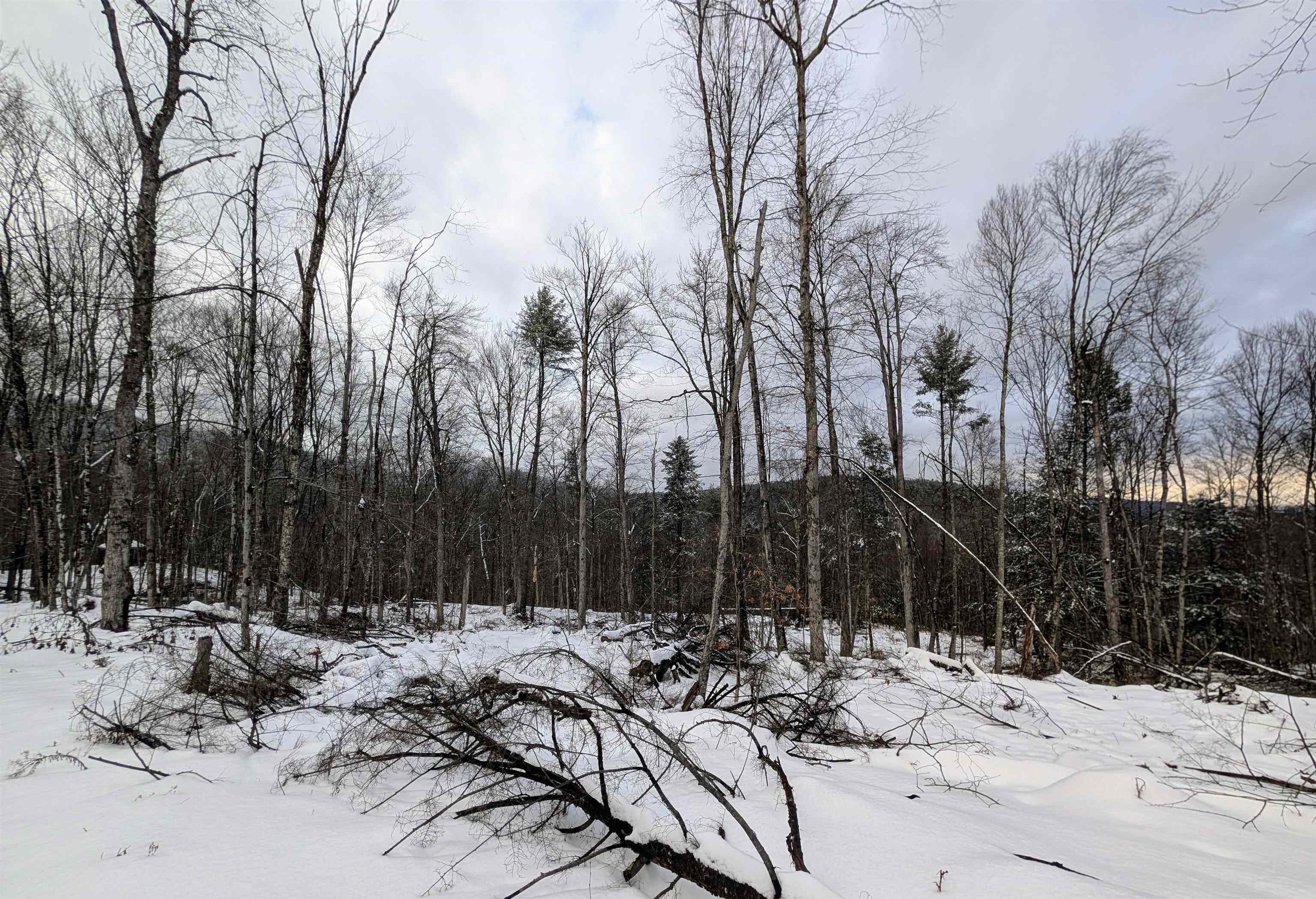 0 Dover Road South Newfane, VT 05351 - Photo 10 of 15