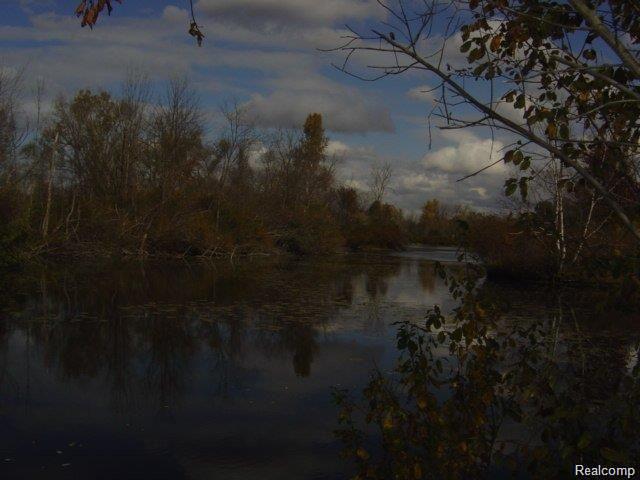0 Clintonville Road Clarkston, MI 48346 - Photo 2 of 8