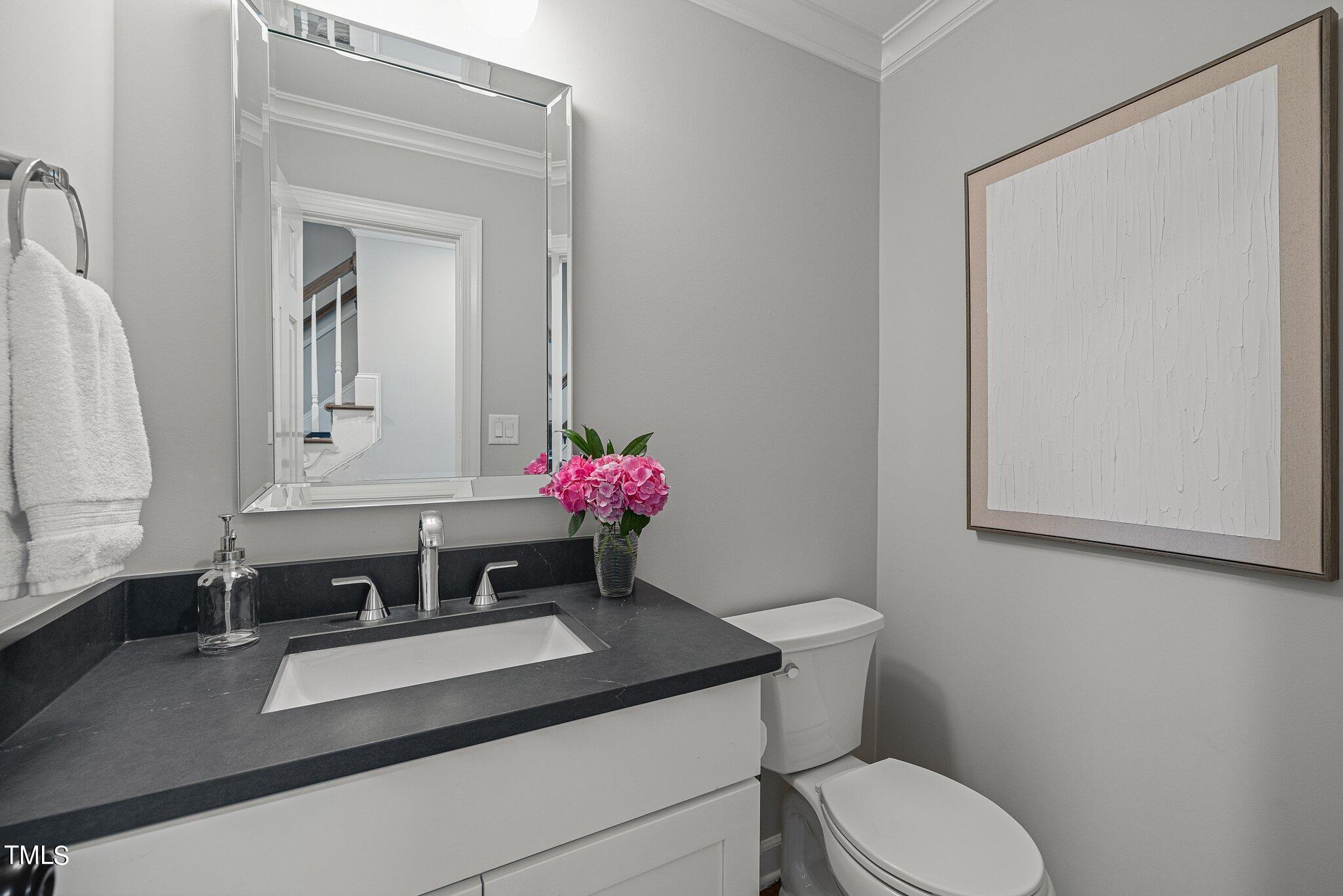 1113 Winterwind Place Raleigh, NC 27615 - Photo 15 of 49 1st floor powder room
