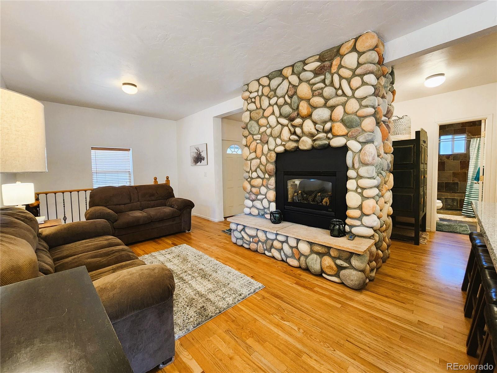 634 Pines Slope Road Idaho Springs, CO 80452 - Photo 17 of 50