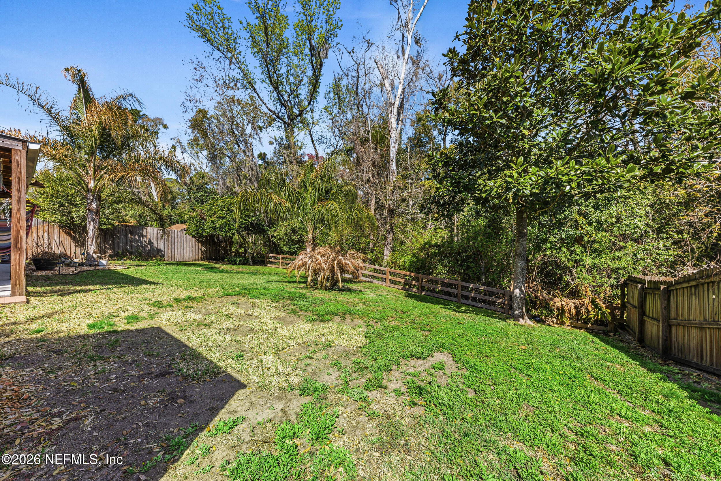 8729 Pinon Drive Jacksonville, FL 32221 - Photo 31 of 33 a view of a yard with a tree