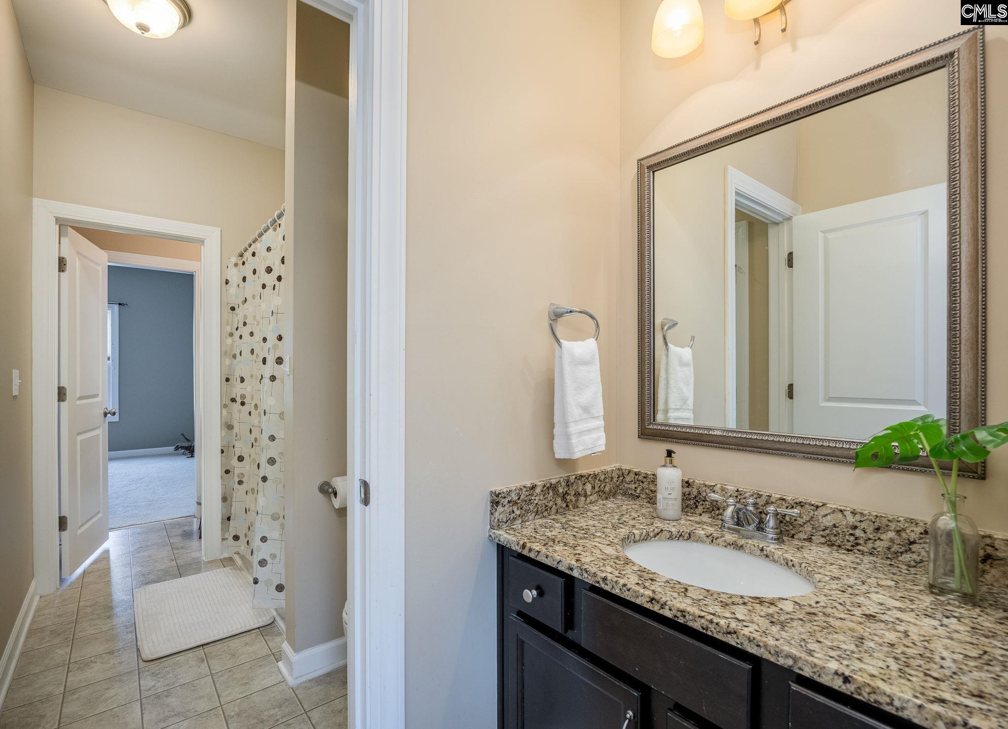 316 Asa Rose Lexington, SC 29072 - Photo 48 of 70