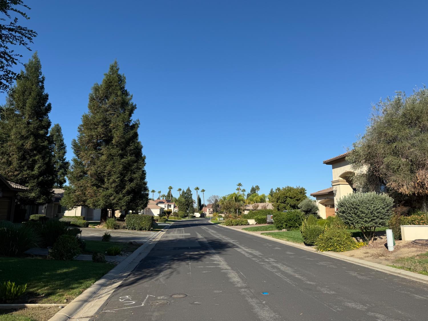 3165 Augusta Street Chowchilla, CA 93610 - Photo 8 of 8 a view of a street with a houses