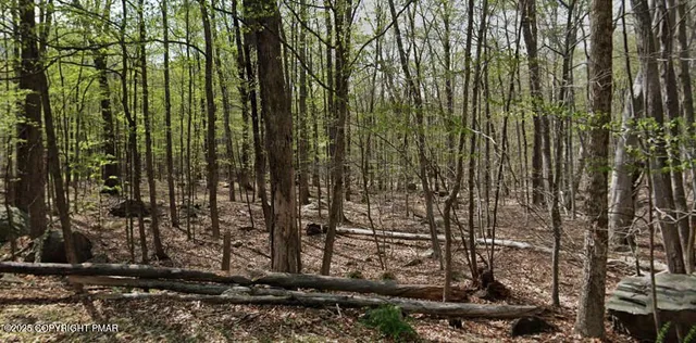 a view of a garden with a building