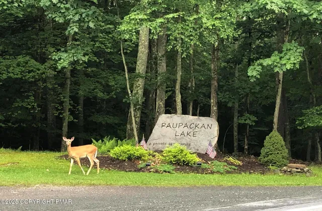 an aerial view of a yard