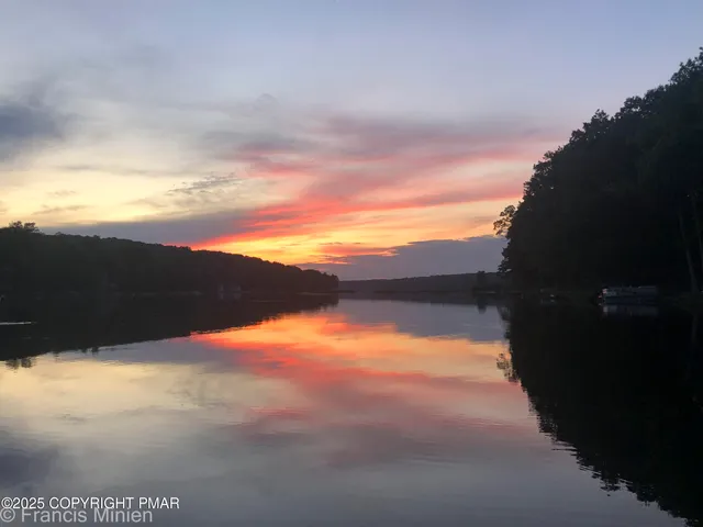 a view of a green field with lots of bushes