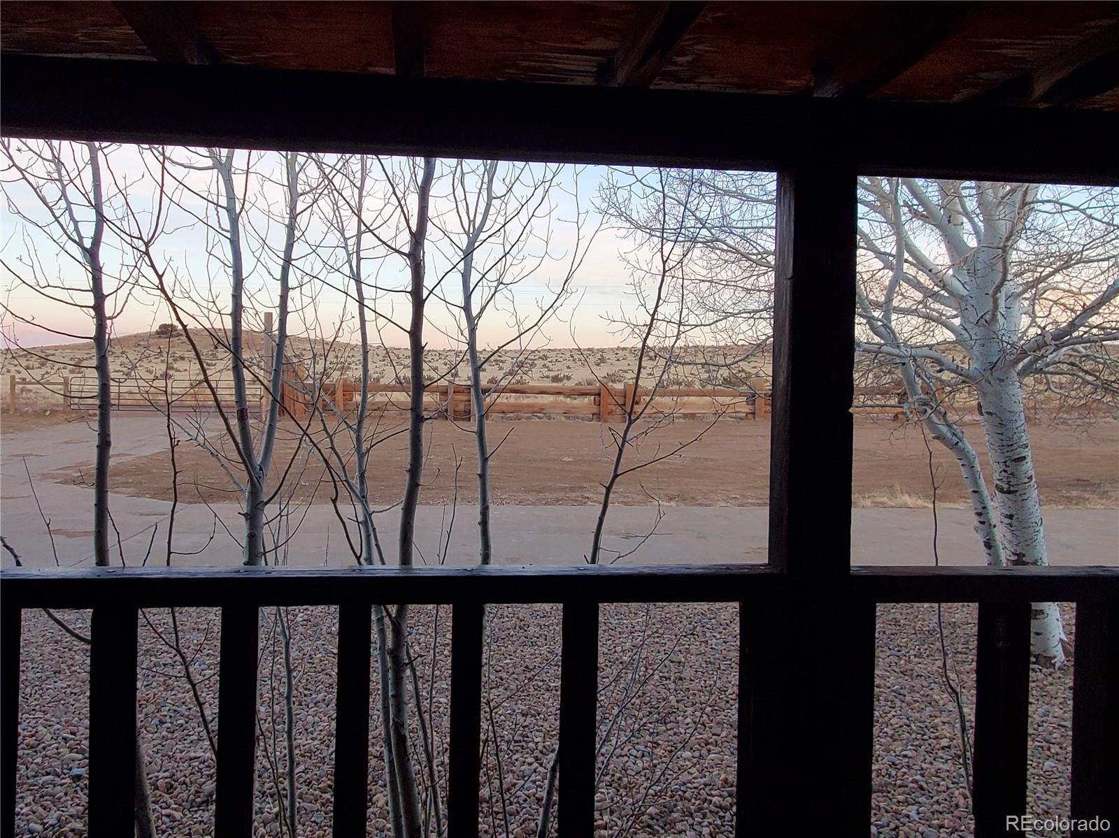 5339 County Road 19 Florence, CO 81226 - Photo 11 of 50 a view of with green trees