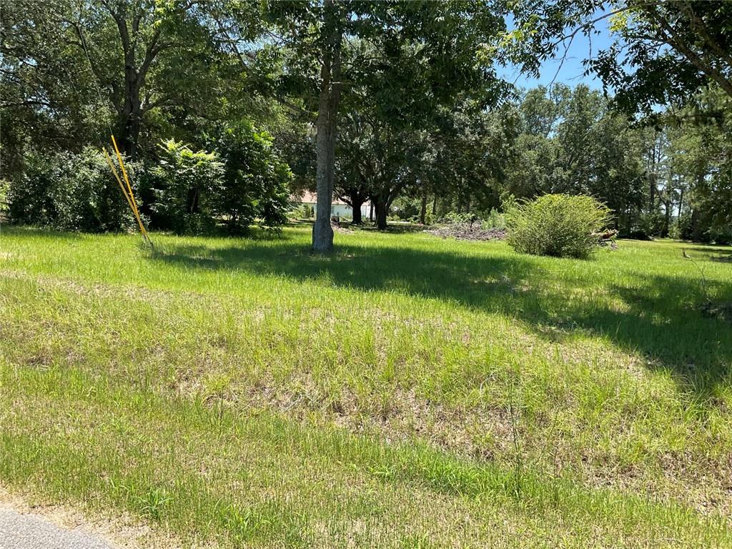 712 Sumner Road Moultrie, GA 31768 - Photo 7 of 11