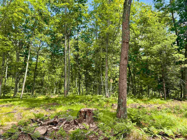 $34,900 | Rhett Lane, Unit 10, Wausaukee, WI 54177