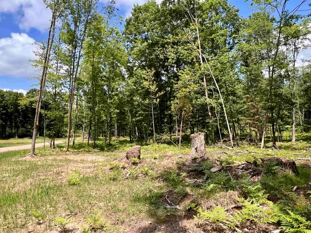 $34,900 | Rhett Lane, Unit 10, Wausaukee, WI 54177