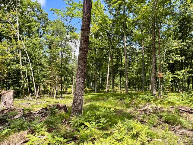 $34,900 | Rhett Lane, Unit 10, Wausaukee, WI 54177