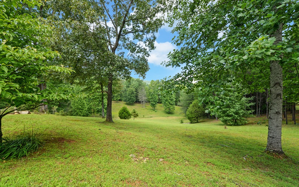 2370 Mountain View Road McCaysville, GA 30555 - Photo 6 of 44 Gallery Image 6