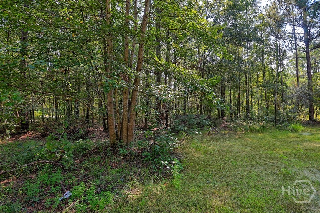 5209 May Road Ellabell, GA 31308 - Photo 31 of 33 Gallery Image 31