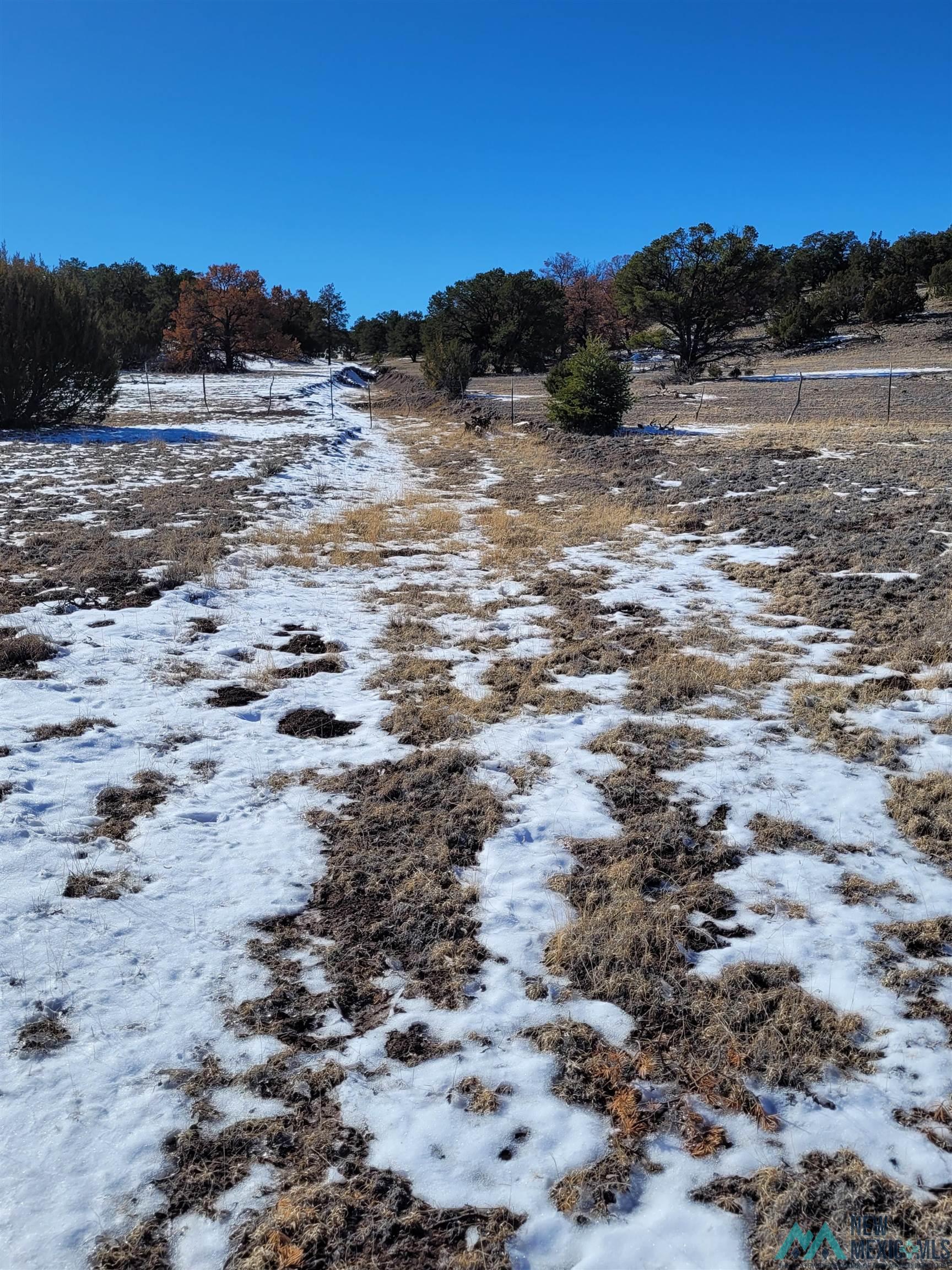 1 Jackass Lane, Unit 1 Datil, NM 87821 - Photo 32 of 46 Gallery Image 32