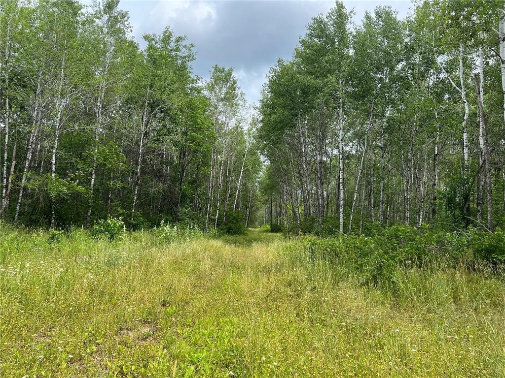 W37-xx Frog Creek Road Minong, WI 54859 - Photo 32 of 40 Trail Network on Property
