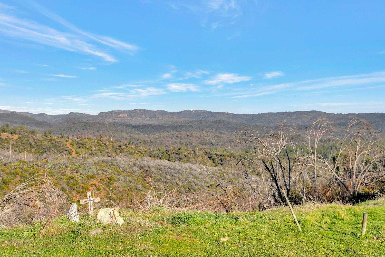 10263 Ham Luddy Road Mountain Ranch, CA 95246 - Photo 11 of 31 a view of mountain with green field