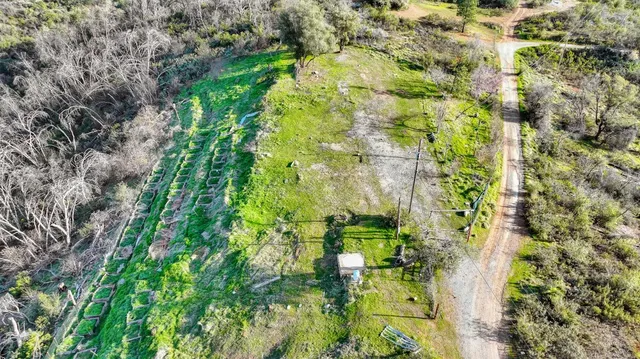 a backyard of a building with large trees