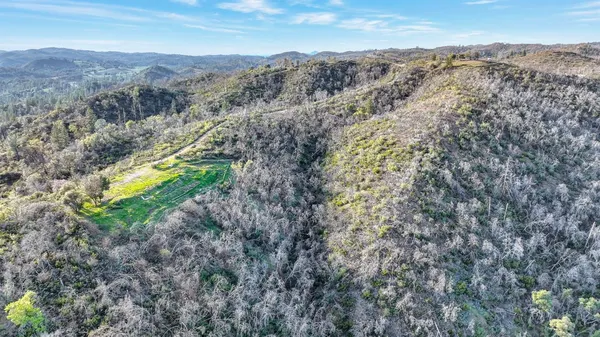 an aerial view of forest