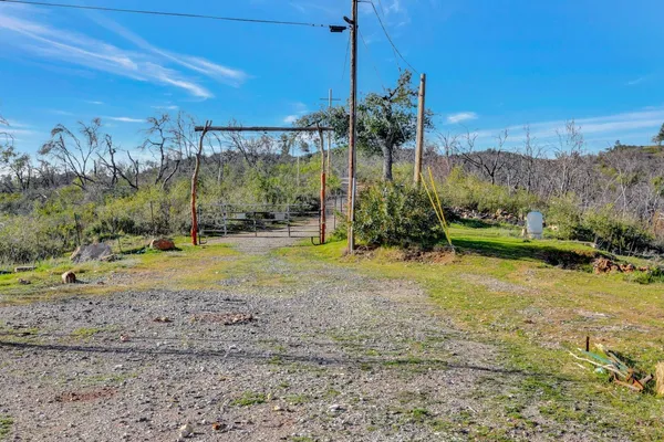 a view of a yard with an tree