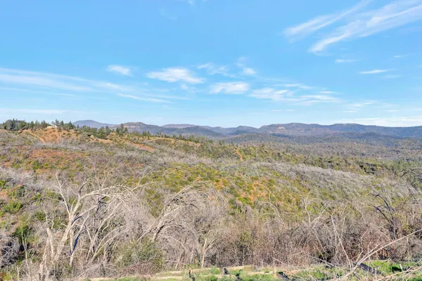 a view of a city with lush green forest