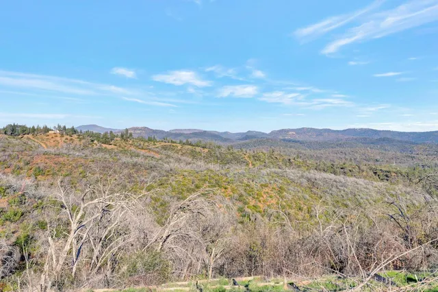 a view of a city with lush green forest