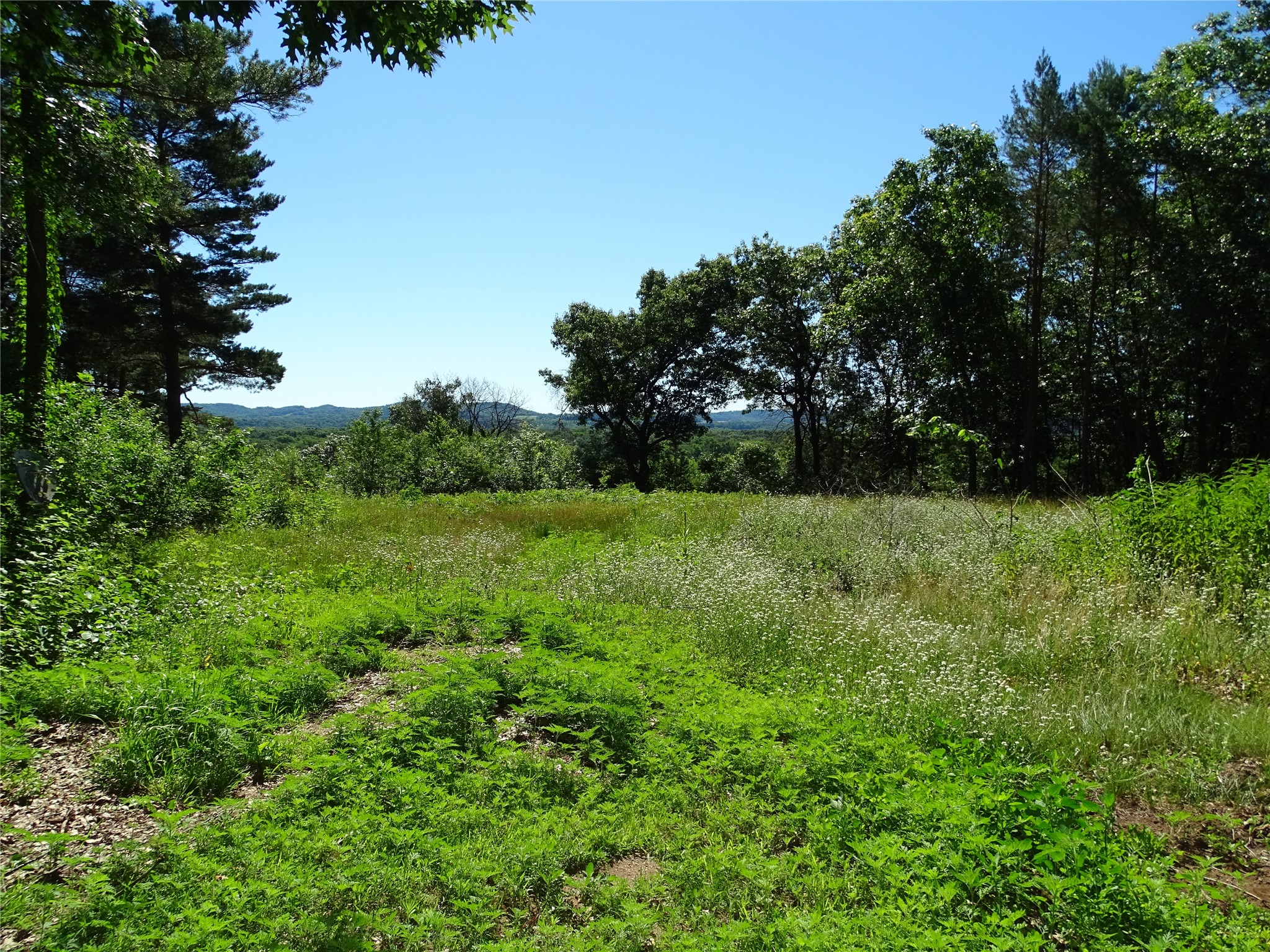 N4916 County Road North Arkansaw, WI 54721 - Photo 2 of 25