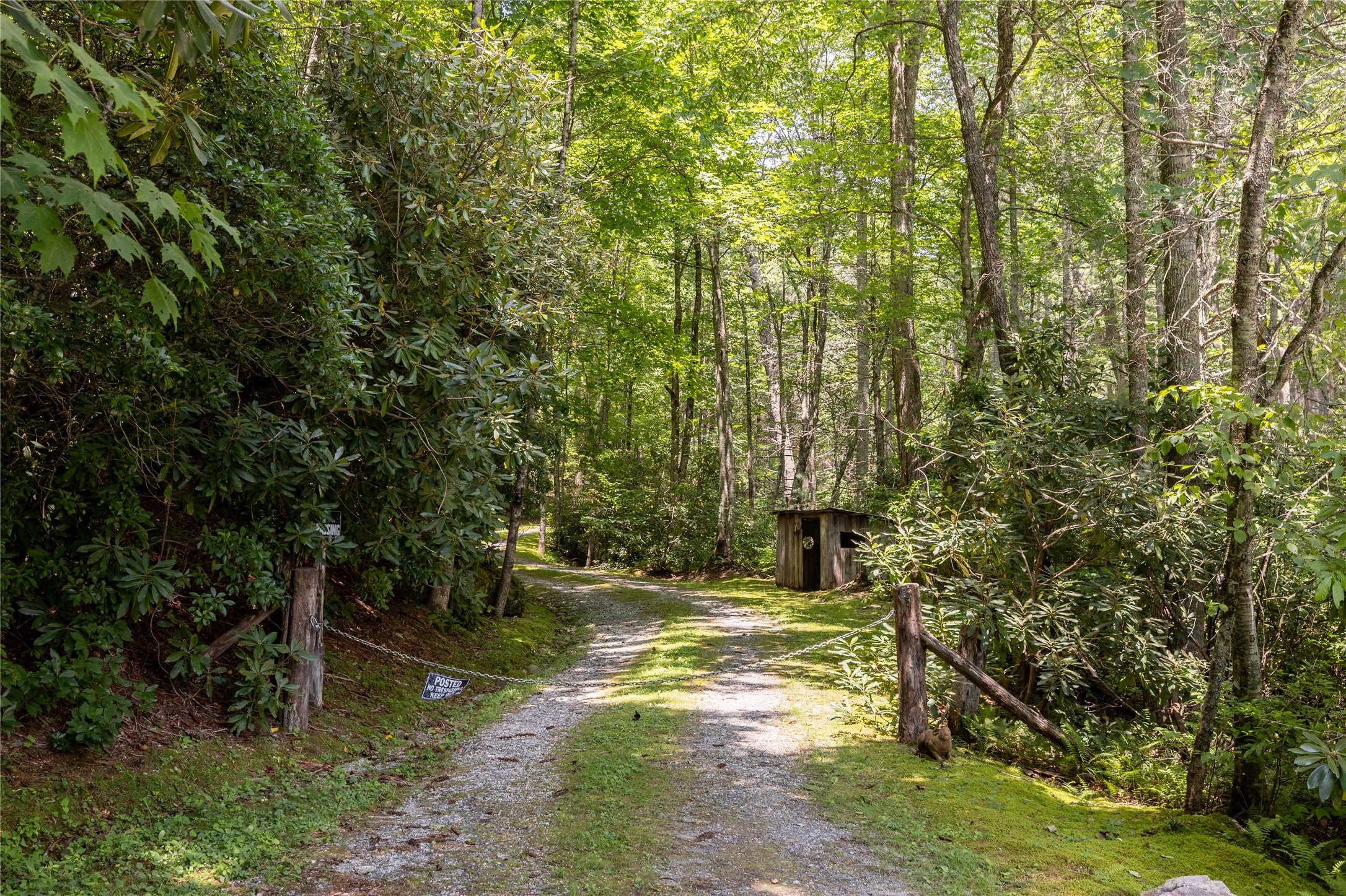 Tbd Aimless Hl Road Cashiers, NC 28717 - Photo 6 of 43 Gallery Image 6